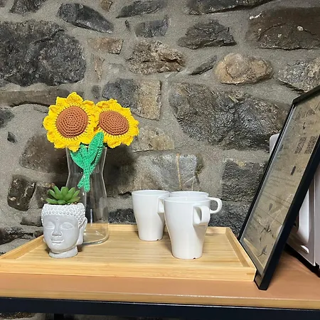 Casa Girasol Biescas (Aragon)